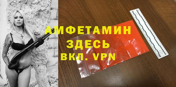 гидра Горняк