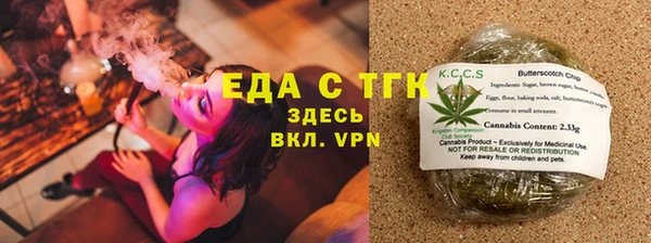гидра Горняк