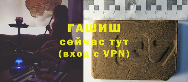 гидра Горняк
