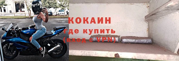 мяу мяу мука Гусь-Хрустальный