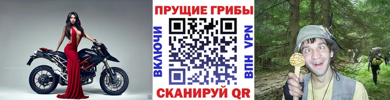 Псилоцибиновые грибы Magic Shrooms Орск
